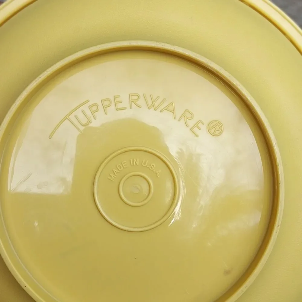 Vintage Pair Tupperware Bowls with lids